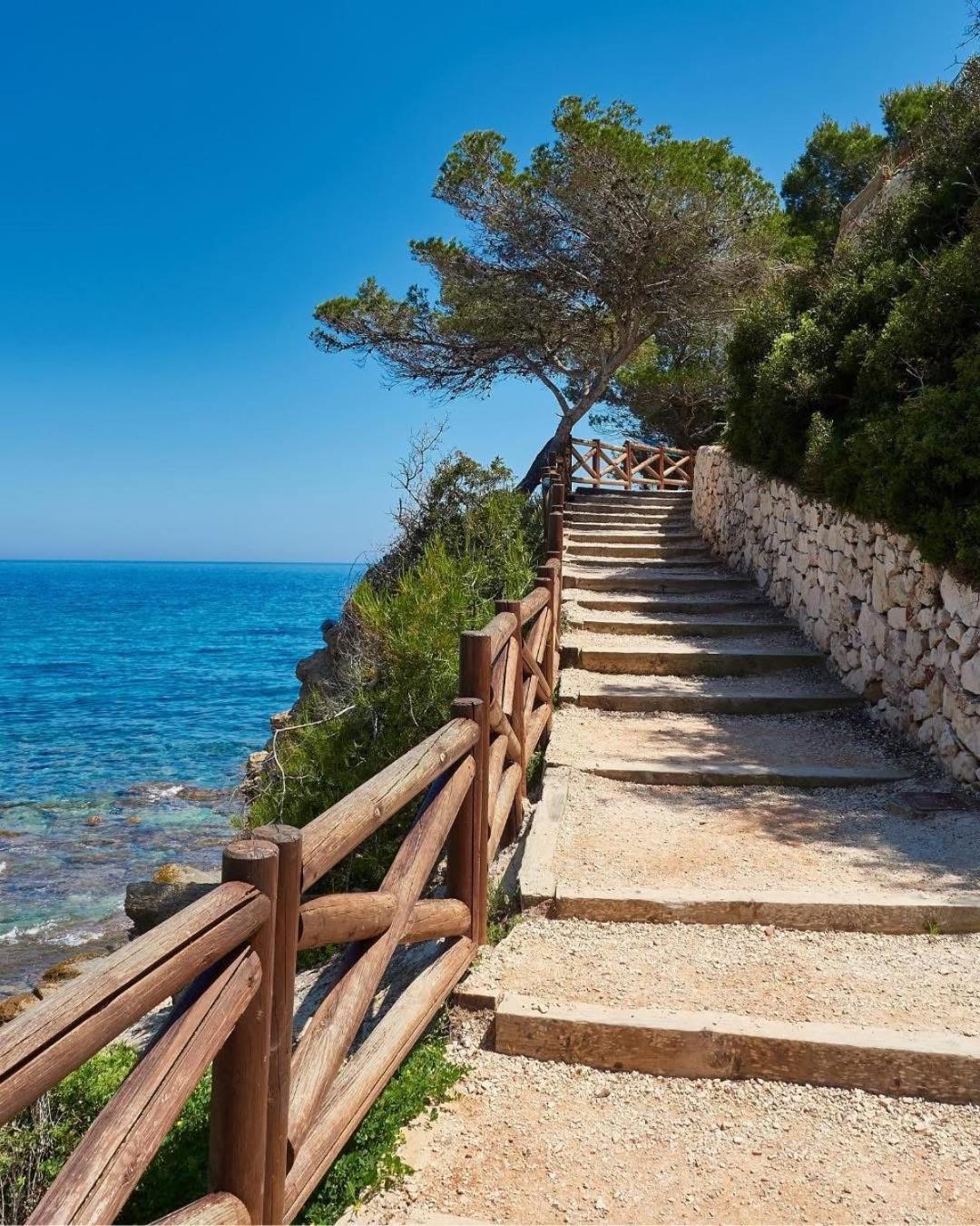 Magdalena Apartament Torrevieja Dış mekan fotoğraf