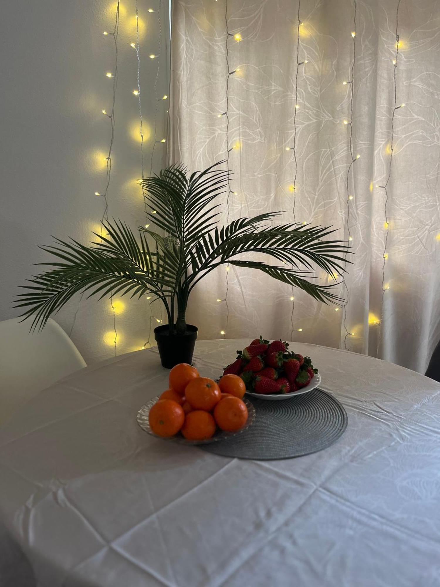 Magdalena Apartament Torrevieja Dış mekan fotoğraf